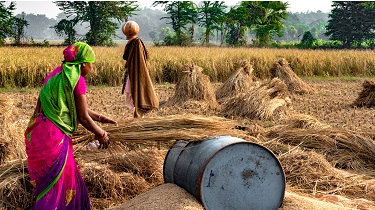 Image of women working in field