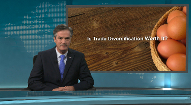 EDC Peter Hall: Is trade diversification worth it? 