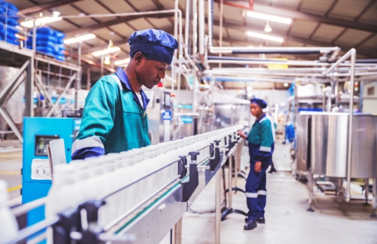 Quality inspectors checking milk bottles on a conveyor belt at a dairy plant.