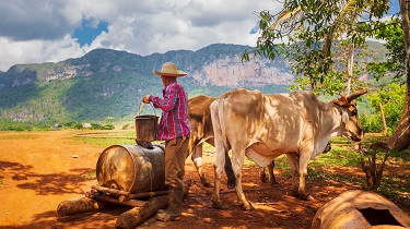 Farmer drawing water from well in Pinar del Rio Province, Cuba
