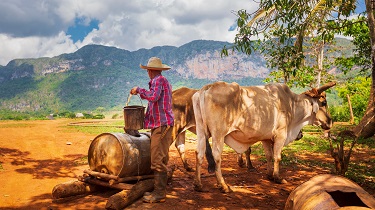 Photo d’un fermier puisant de l’eau dans la province de Pinar del Río, Cuba.