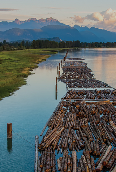 Distant mountains with logs on a river