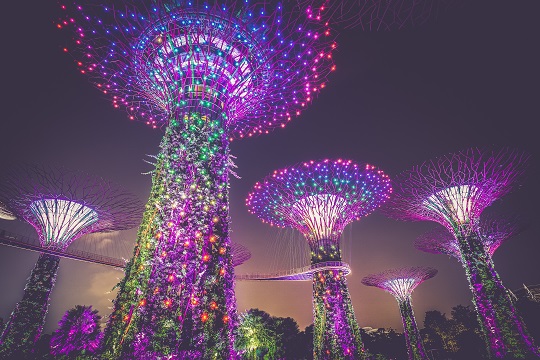 Sculptures d’arbres géants dans le parc Gardens by the Bay à Singapour