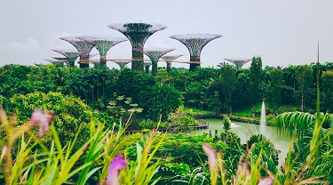 Jardin à Singapour