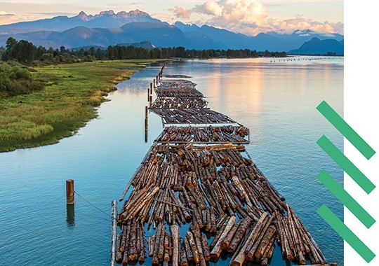 Billes flottant sur une rivière avec en arrière-plan des montagnes se dessinant au loin