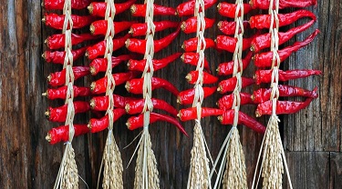 Faire affaire au Mexique