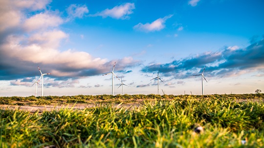 Field of windmills in Germany