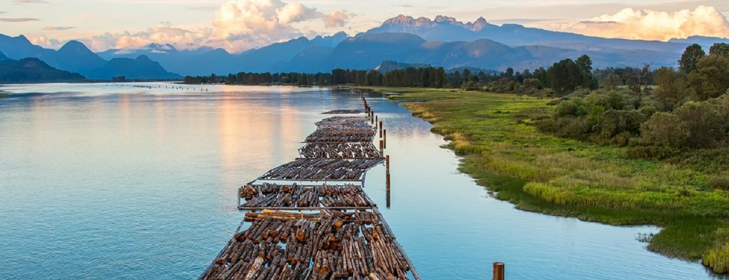 Canada’s Forestry Sector