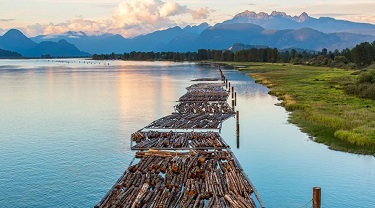 Canada’s Forestry Sector