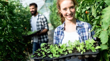 Organic farmers grow seedlings