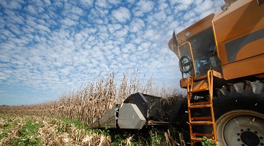 Brésil et Argentine : Ouvert pour agroentreprise Canadienne
