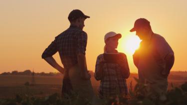 Three farmers discuss planting in a field.