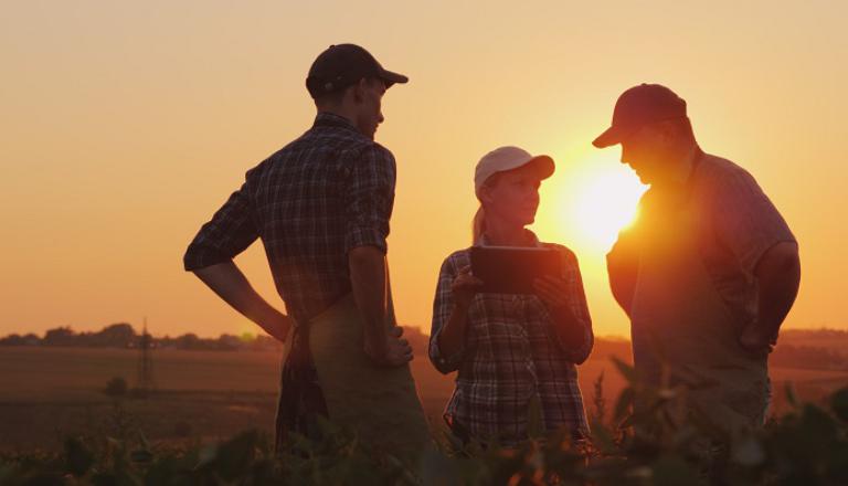 Three farmers discuss planting in a field.