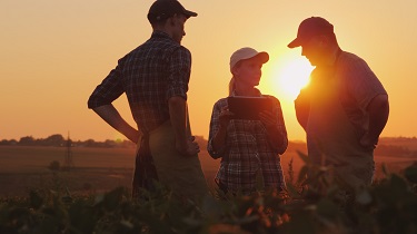 Three farmers discuss planting in a field.