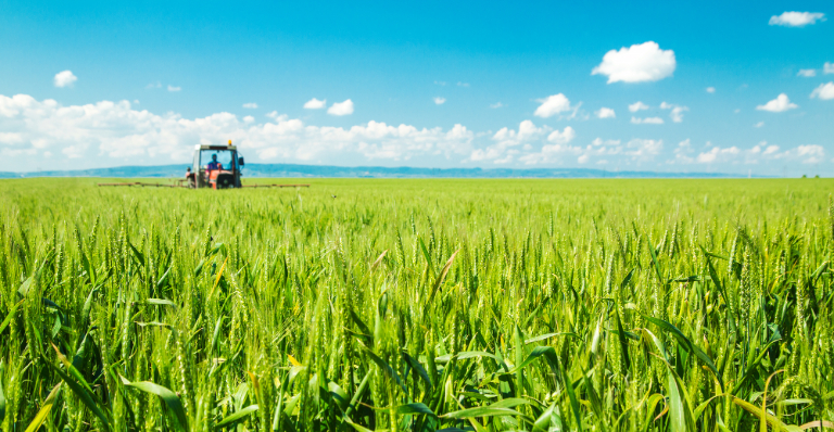 Prosperous Canadian farmer on tracker ploughs lush fields.