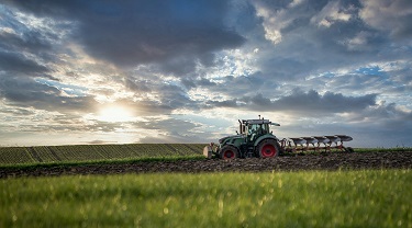 Tractor in a field