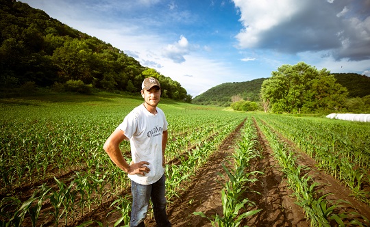 Farmer standing between rows of corn
