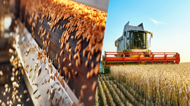 Agriculture