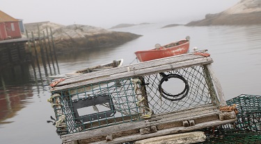 Faire rayonner sa marque à l’étranger selon Gidney Fisheries