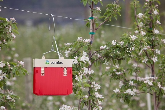Semios sensor in the field