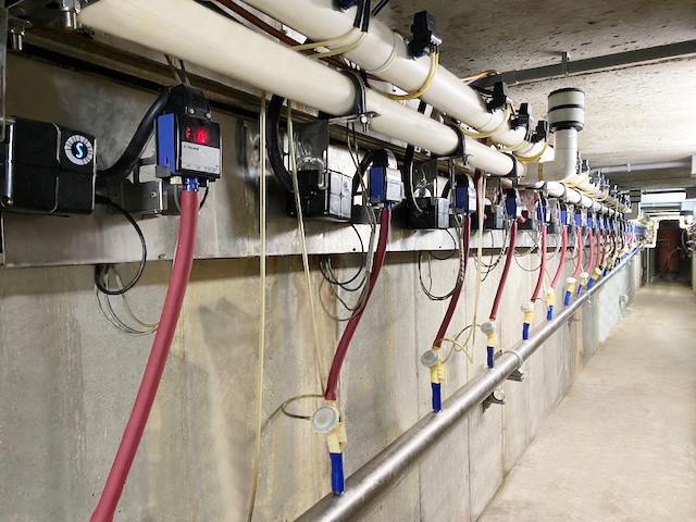 Il est possible d’adapter les capteurs optiques de SomaDetect au matériel pour surveiller chaque vache à chaque traite.