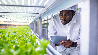 Image of man in lab coat with tablet checking plants representing business growth enabled through sustainable finance