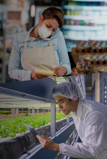 Montage photo : une propriétaire d’entreprise passe une commande au téléphone et un botaniste examine des plants de laitue.