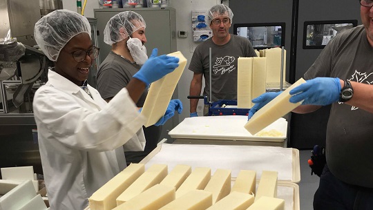 People making sunflower soap