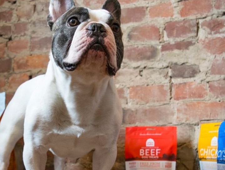 Young businesswoman in a patterned shirt using a transparent touchscreen in a modern office. 