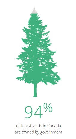 In Canada, 94 per cent of forest lands are owned by governments