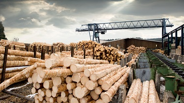 Ominous skies over a lumber mill