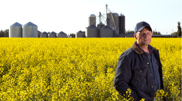 Agriculteur dans un champ de canola face à l’incertitude en raison des nouveaux tarifs américains et des droits chinois sur les exportations canadiennes.