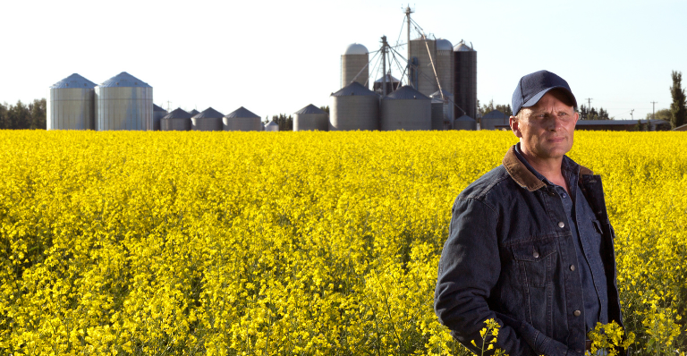 Farmer in canola field faces uncertainty amid new U.S. tariffs and Chinese duties on Canadian exports.