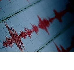 Graph of seismic activity