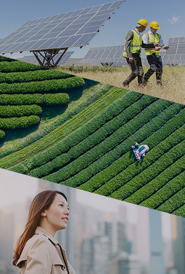 A collage of three photos: Two workers walking by solar panels in a rural landscape, an aerial view of a field of crops, and a businesswoman looking out at a city view.