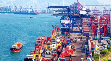 Silhouette de plusieurs grues dans le port animé de Vancouver au coucher du soleil, ciel tamisé.