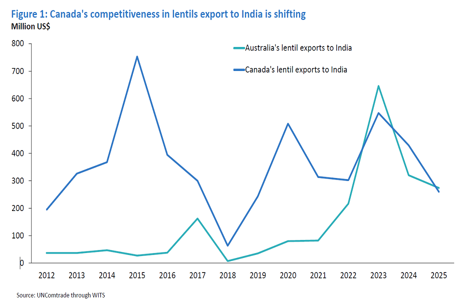 Canada vs. Australia lentil exports to India, 2012–2025 trend