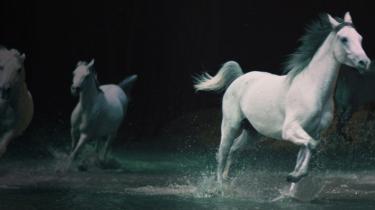 Cavalia, spectacle montréalais