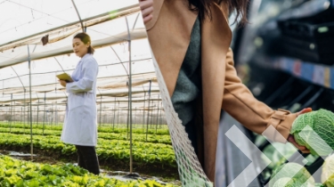 Split-screen image of a female agronomist working in a greenhouse using digital tablet (left) and a woman shopping for fresh organic fruits and vegetables in a supermarket (right).