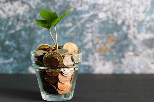 Une plante pousse dans une tasse contenant de la monnaie
