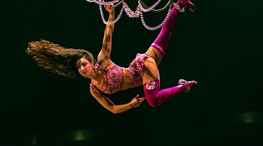 Performer with Cirque du Soleil
