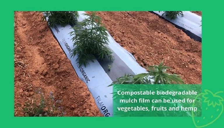 Compostable mulch for vegetables