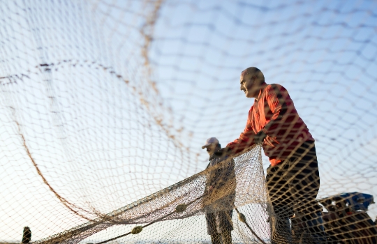 Fishermen holding a fishing net.