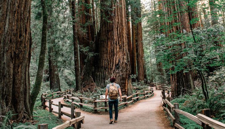 Man backpacking deciding between two directions of forest path