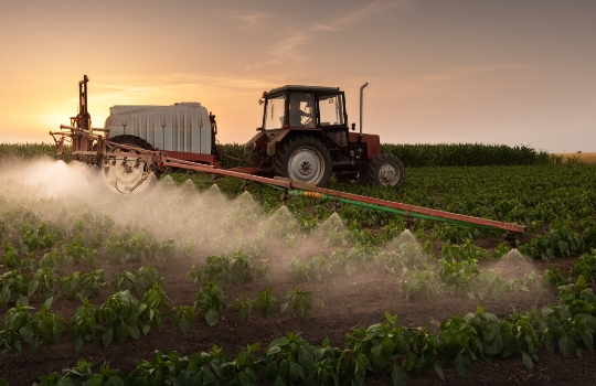 Un tracteur épandant des pesticides dans un champ de légumes à l'aide d'un pulvérisateur 