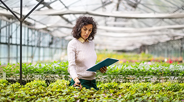 Woman holding tablet in a greenhouse filled with plants.