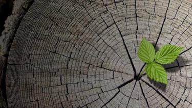 Profitez de l’expertise d’un économiste chevronné pour découvrir les principales forces qui influent sur l’économie mondiale et leurs répercussions pour les exportateurs canadiens dans ce rapport clair, publié deux fois par an.