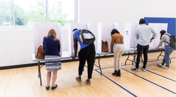 Rear view of people voting in private booths