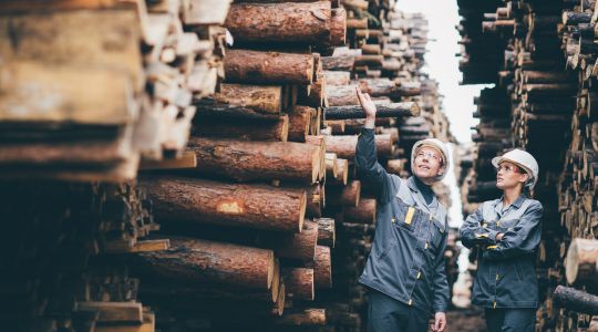 A man and a woman wearing jackets, safety glasses and helmets, looking at piles of wooden logs.