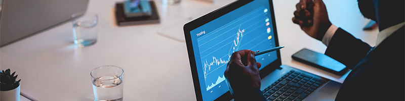 An FX risk management expert outlining a hedging strategy
